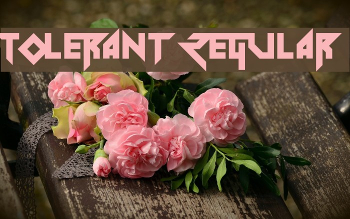 Tolerant Regular Example 1