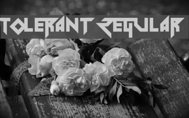 Tolerant Regular Font examples