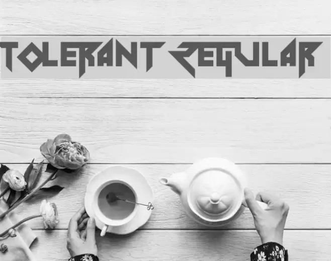 Tolerant Regular Font examples