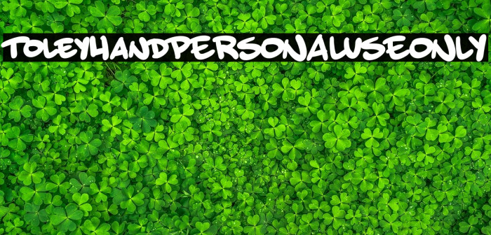 ToleyHandPERSONALUSEONLY Font examples