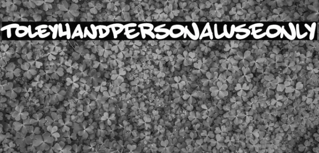 ToleyHandPERSONALUSEONLY Font examples