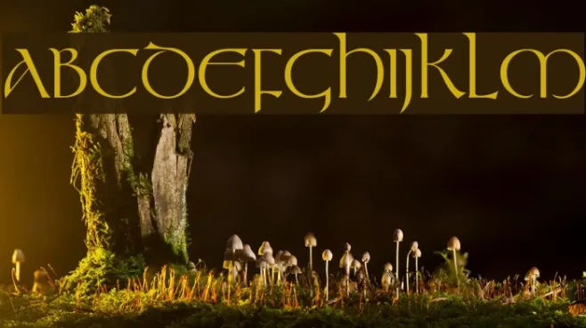 Tolkien Regular Example 2