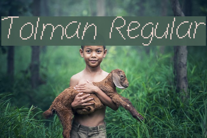 Tolman Regular Font examples