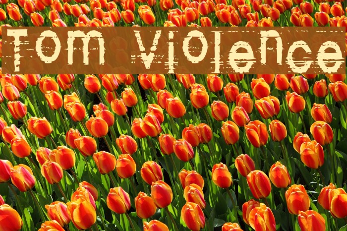 Tom Violence Caratteri examples