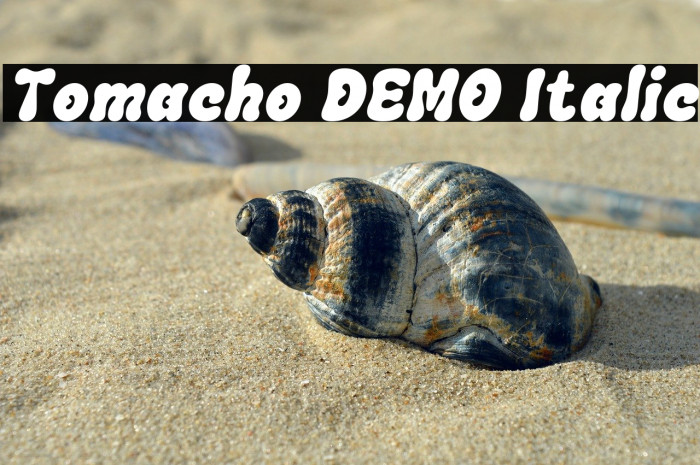 Tomacho DEMO Italic Example 1