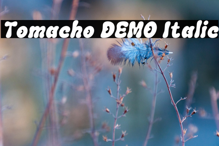 Tomacho DEMO Italic Example 2