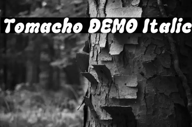 Tomacho DEMO Italic फ़ॉन्ट examples