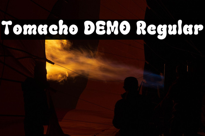 Tomacho DEMO Regular Example 1