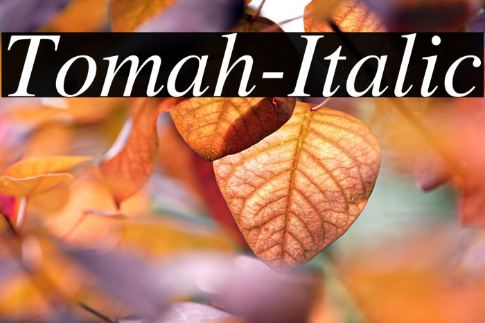 Tomah-Italic Example 1