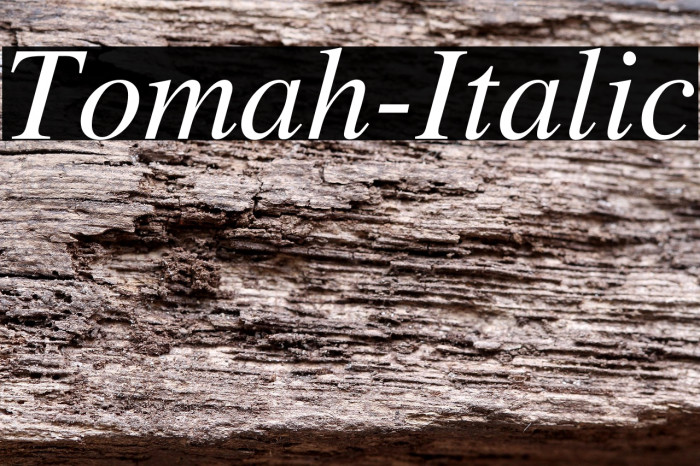 Tomah-Italic Example 3