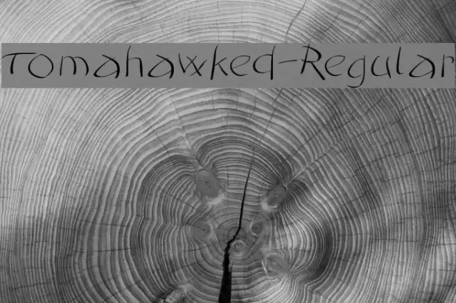 Tomahawked-Regular Font examples