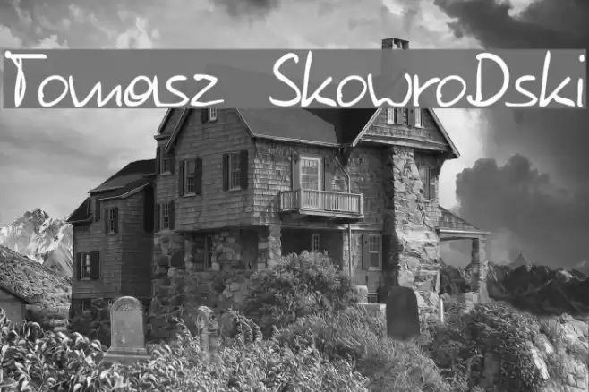Tomasz SkowroDski examples