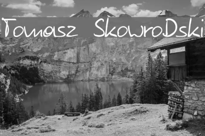 Tomasz SkowroDski examples