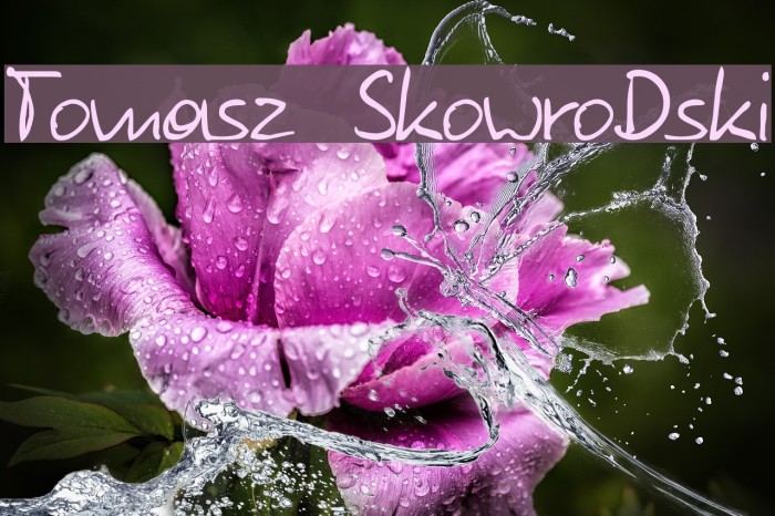 Tomasz SkowroDski Font examples