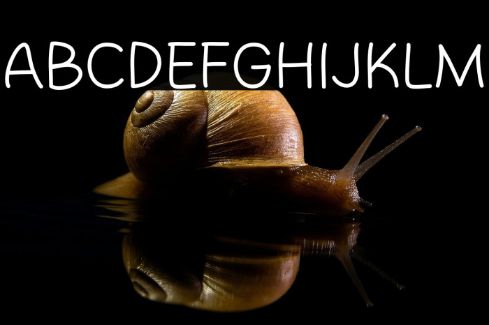 Tomato Mase Example 3