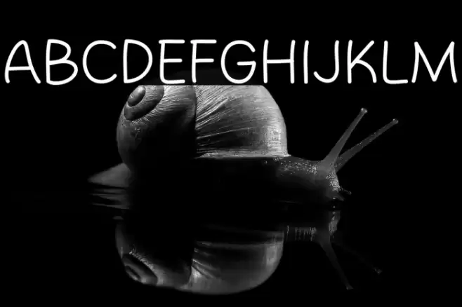 Tomato Mase Font examples