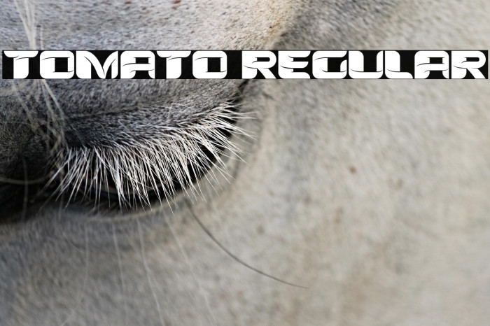 Tomato Regular Example 1