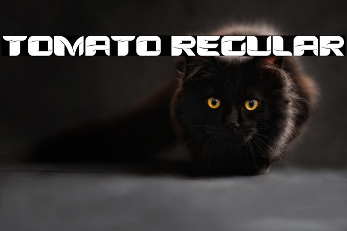 Tomato Regular Example 2