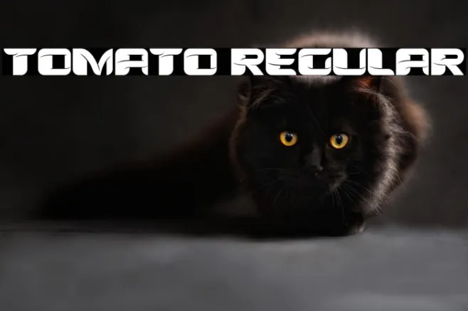 Tomato Regular Example 2