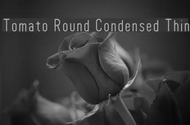 Tomato Round Condensed Thin Font examples
