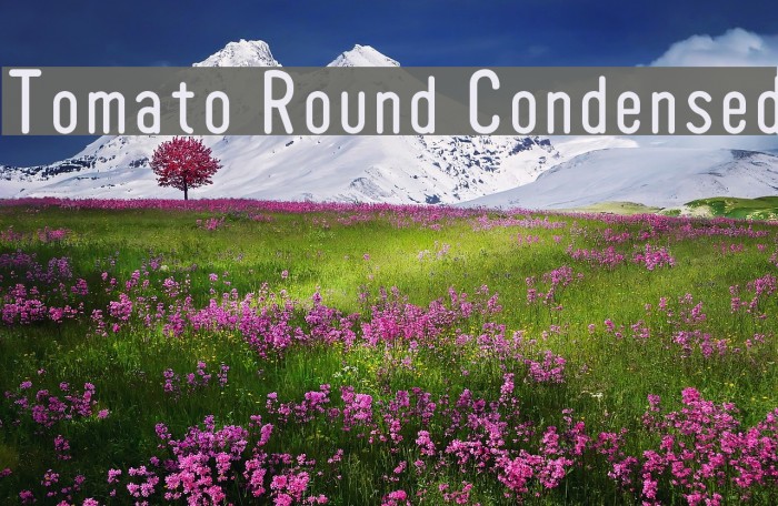Tomato Round Condensed Font examples