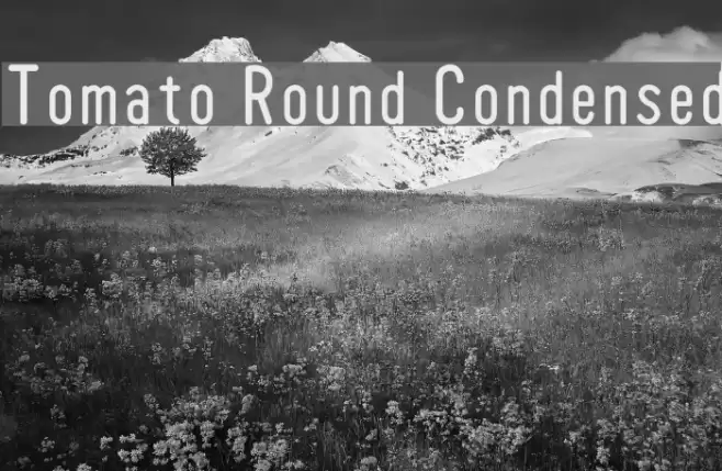Tomato Round Condensed Font examples