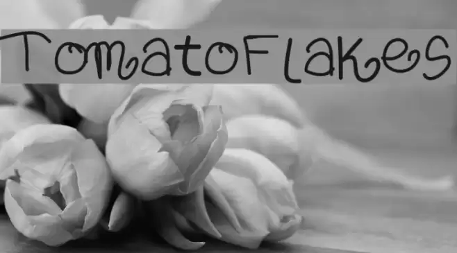TomatoFlakes Font examples