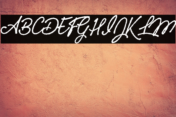 TomatoSoupPersonalUse-Italic Example 2