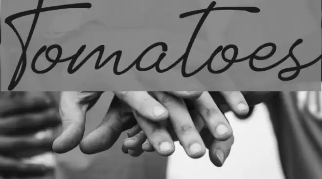 Tomatoes Font examples