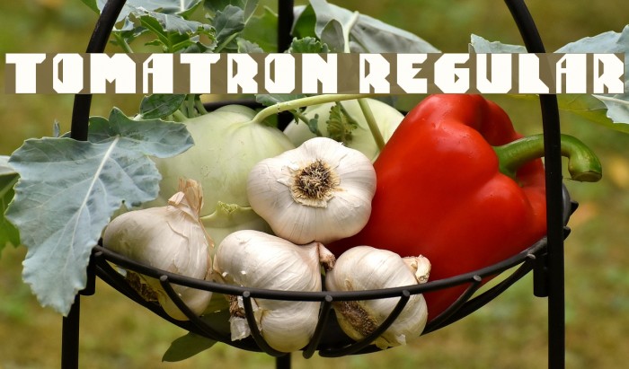 Tomatron Regular Example 2