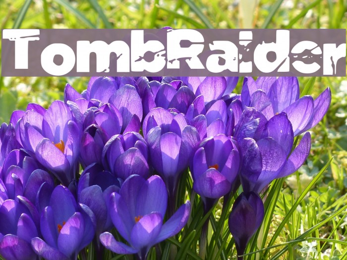Tomb_Raider फ़ॉन्ट examples