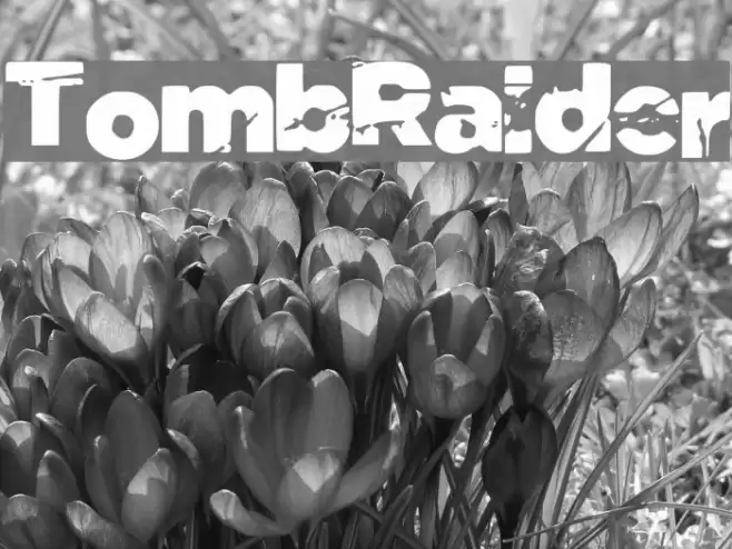 Tomb_Raider Font examples