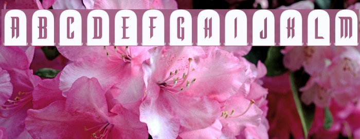 Tombstone Regular Font examples
