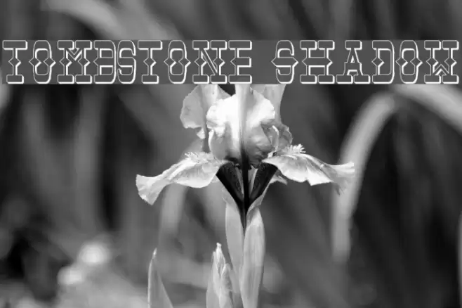 Tombstone Shadow Font examples