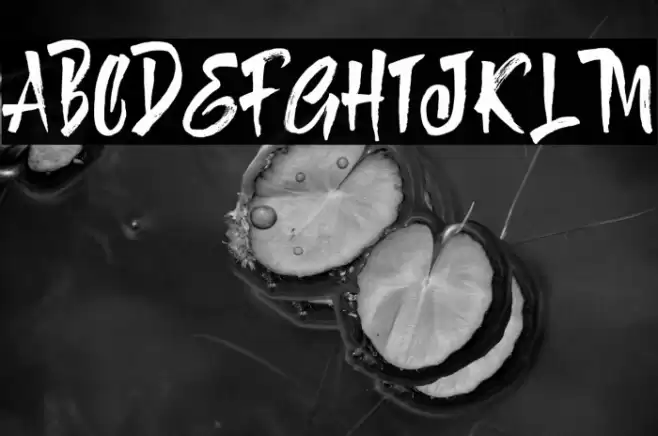 Tombstone Font examples