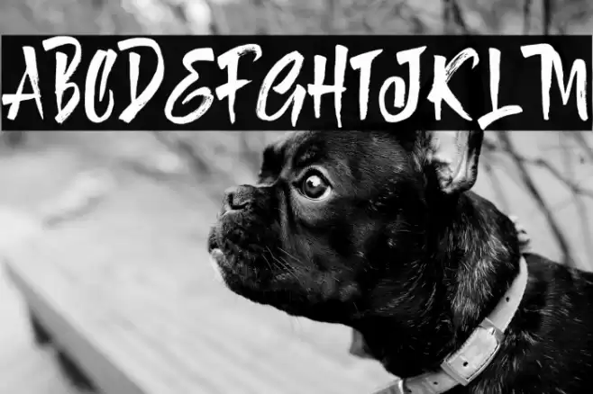 Tombstone Font examples