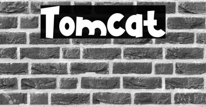 Tomcat Font examples