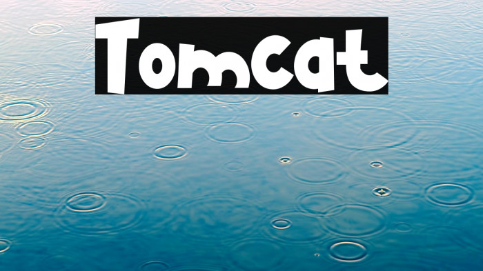 Tomcat Example 3
