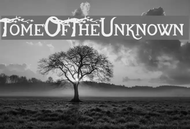 TomeOfTheUnknown Font examples