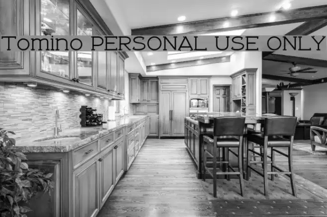 Tomino PERSONAL USE ONLY Font examples