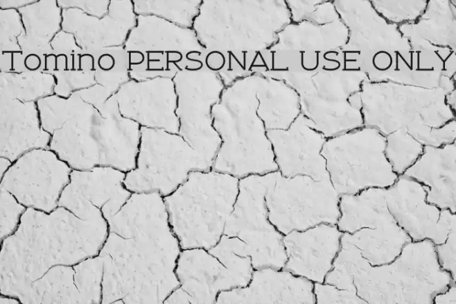 Tomino PERSONAL USE ONLY Font examples