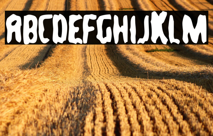 TommyGun-Regular Example 3