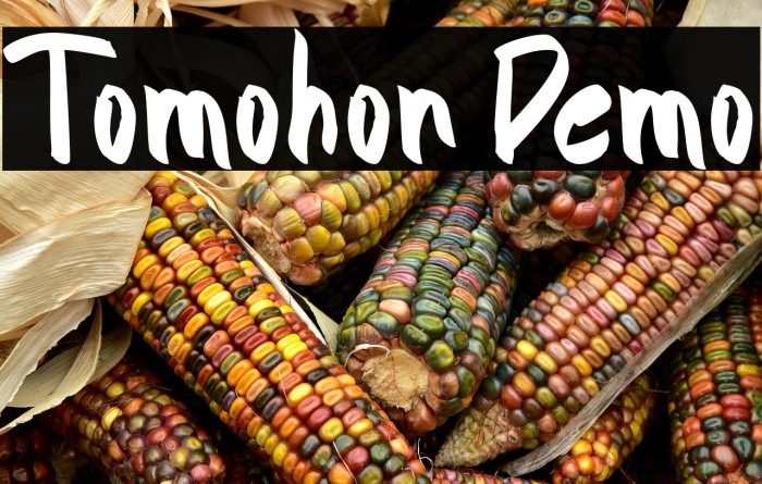 Tomohon Demo Example 1