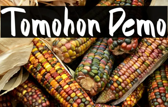 Tomohon Demo Example 1