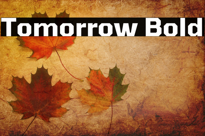 Tomorrow Bold Example 1