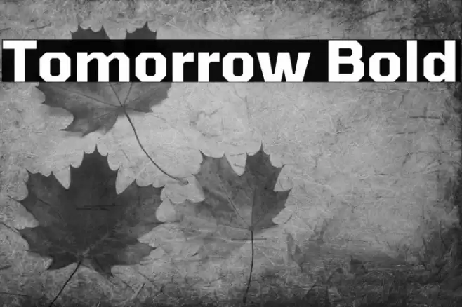 Tomorrow Bold Font examples