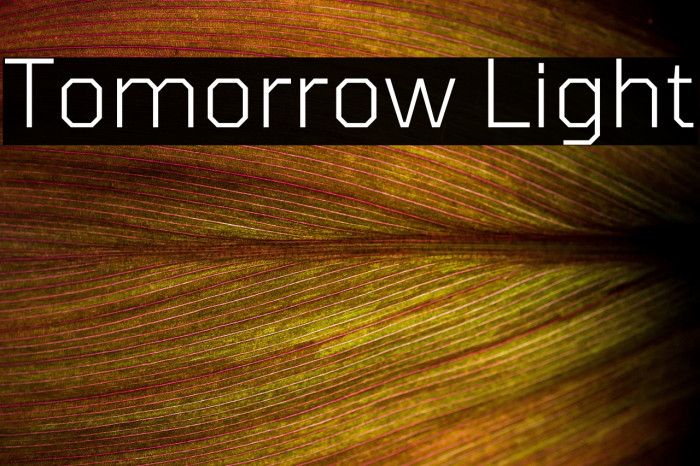 Tomorrow Light Font examples