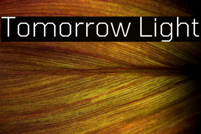 Tomorrow Light Example 1