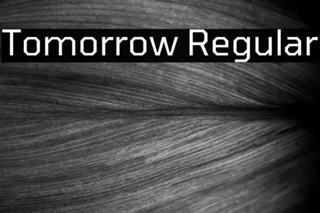 Tomorrow Regular Font examples