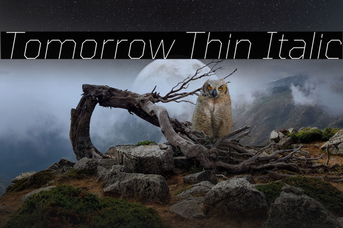 Tomorrow Thin Italic Font examples